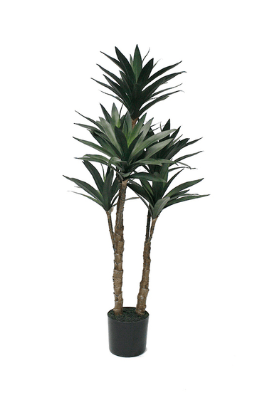 Dracaena Potted - 91cm Faux Plant at Online8 Furniture Auckland NZ