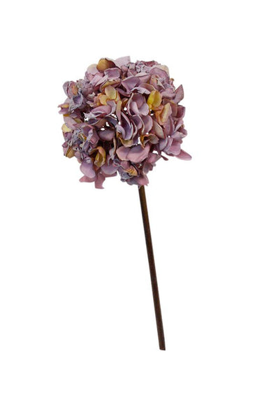 Dried-Look Hydrangea Lavender at Online8 Furniture Auckland NZ