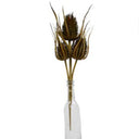 Dried Thistle x3 Bundle at Online8 Furniture Auckland NZ