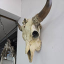 Faux Bone OX Skull Wall Hanging at Online8 Furniture Auckland NZ