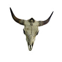 Faux Bone OX Skull Wall Hanging at Online8 Furniture Auckland NZ