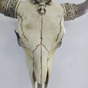 Faux Bone OX Skull Wall Hanging at Online8 Furniture Auckland NZ