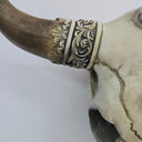Faux Bone OX Skull Wall Hanging at Online8 Furniture Auckland NZ