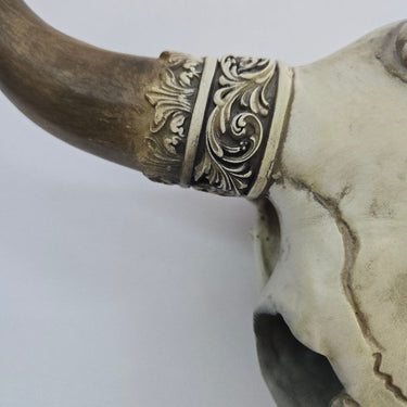 Faux Bone OX Skull Wall Hanging at Online8 Furniture Auckland NZ