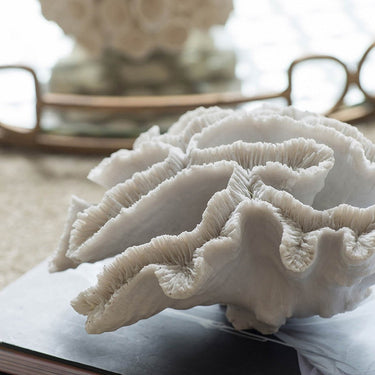 Faux Coral at Online8 Furniture Auckland NZ