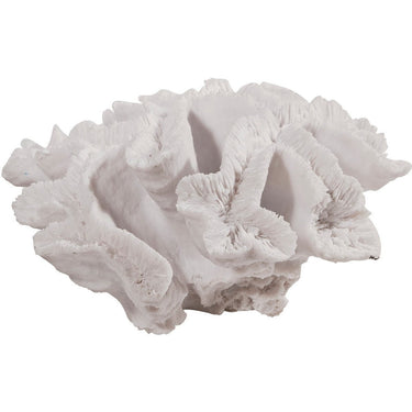 Faux Coral at Online8 Furniture Auckland NZ