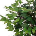 Ficus Tree Potted 120cm at Online8 Furniture Auckland NZ