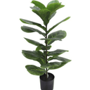 Fiddle Leaf Plant Potted - 71cm Faux Plant at Online8 Furniture Auckland NZ