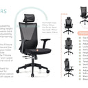 Filmore Mid Back Mesh Chair at Online8 Furniture Auckland NZ