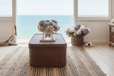 Florian Rattan Coffee Table with Removable Tray at Online8 Furniture Auckland NZ