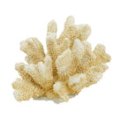 Fox Coral - Natural at Online8 Furniture Auckland NZ