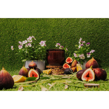 Gemini said AB Core Candle 400g | Yosemite - Cedarwood & Wildflower at Online8 Furniture Auckland NZ