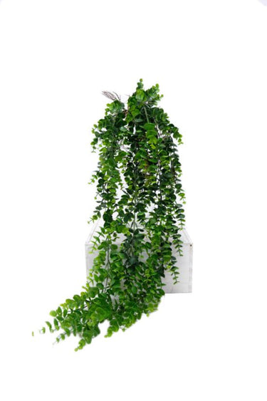 Hanging Eucalyptus Plant Green - Faux Plant at Online8 Furniture Auckland NZ