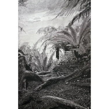 Hanging Wall Art: Milford (Black & White) at Online8 Furniture Auckland NZ