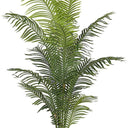 Hawaiian Palm Tree Potted 1.5m at Online8 Furniture Auckland NZ