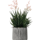 Haworthia in Cement Pot - 35cm Faux Plant at Online8 Furniture Auckland NZ