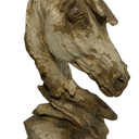 Horse Head - Indoor & Outdoor at Online8 Furniture Auckland NZ