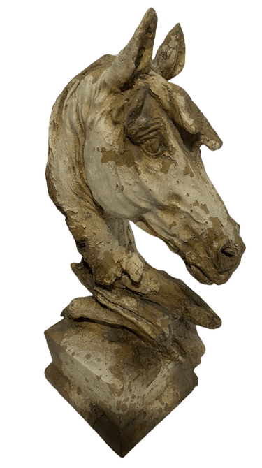 Horse Head - Indoor & Outdoor at Online8 Furniture Auckland NZ