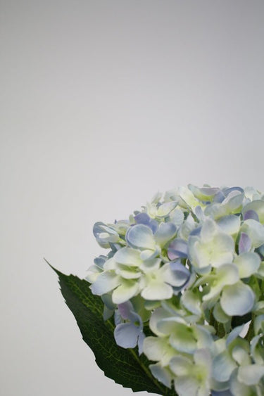 Hydrangea Short Stem 45cm Blue at Online8 Furniture Auckland NZ