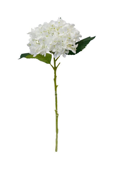 Hydrangea Short Stem 45cm White at Online8 Furniture Auckland NZ