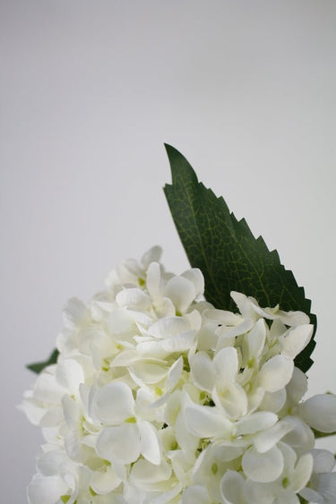 Hydrangea Short Stem 45cm White at Online8 Furniture Auckland NZ