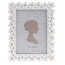 Imperial Photo Frame - Set of 2 at Online8 Furniture Auckland NZ