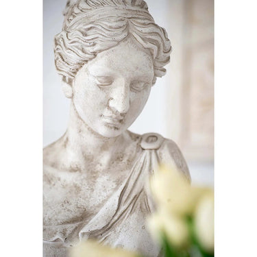 Kilie Women Bust - Indoor/Outdoor at Online8 Furniture Auckland NZ