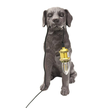 Labrador Table Lamp at Online8 Furniture Auckland NZ