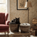 Leather Top Stool with Storage Set/2 at Online8 Furniture Auckland NZ