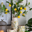 Lemon & Leaves Planter at Online8 Furniture Auckland NZ