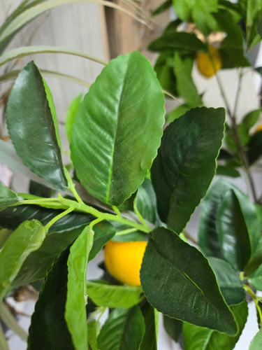 Lemon Potted Tree 120cm - Faux Plant at Online8 Furniture Auckland NZ