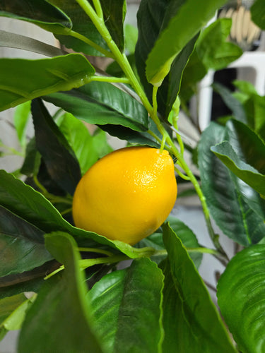 Lemon Potted Tree 120cm - Faux Plant at Online8 Furniture Auckland NZ