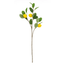 Lemon Spray - Flora at Online8 Furniture Auckland NZ