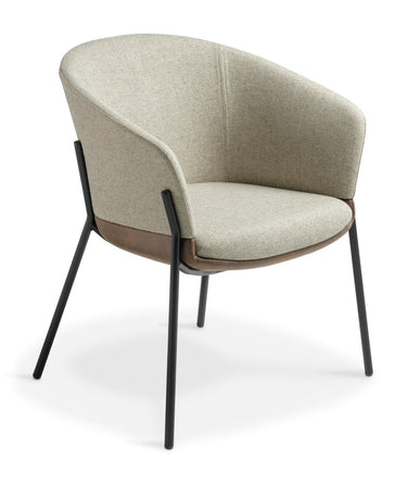 Lilah Armchair - Eastwood Bison at Online8 Furniture Auckland NZ