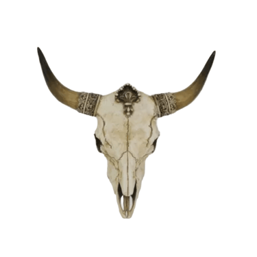 Faux Bone OX Skull Wall Hanging at Online8 Furniture Auckland NZ
