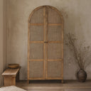 Louise Old Elm Arched Cabinet at Online8 Furniture Auckland NZ