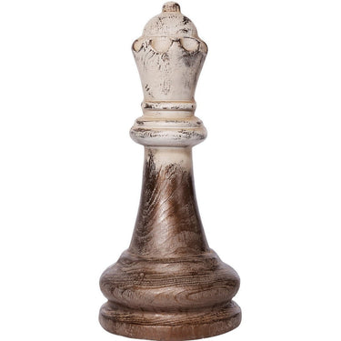 Magnesium Final at Online8 Furniture Auckland NZ