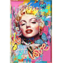 Marilyn Pop Wall Art with Neon Lights at Online8 Furniture Auckland NZ