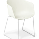 Max Tub Sled Chair - White at Online8 Furniture Auckland NZ