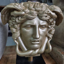 Medusa Statue on Stand - Gold at Online8 Furniture Auckland NZ