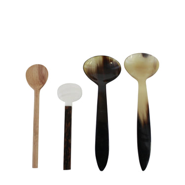 Mixed Set/4 Nibble Spoons at Online8 Furniture Auckland NZ