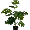 Monstera Potted Plant 76cm at Online8 Furniture Auckland NZ