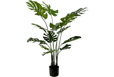 Monsteria Artificial Plant - 109Cm at Online8 Furniture Auckland NZ