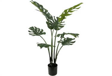 Monsteria Artificial Plant - 89cm at Online8 Furniture Auckland NZ