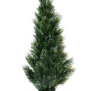 Nua Cedar Topiary Potted 1.2m at Online8 Furniture Auckland NZ