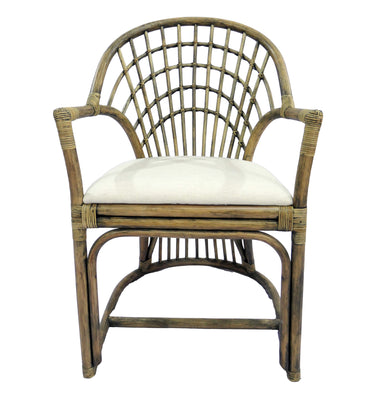 Nusa Dua Armchair - Honey / Black & Oatmeal at Online8 Furniture Auckland NZ