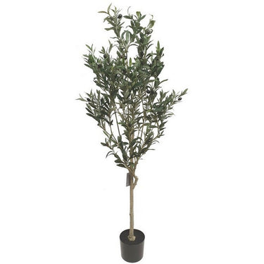 Olive Faux Tree 1.5M at Online8 Furniture Auckland NZ