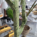 Olive Faux Tree 1.5M at Online8 Furniture Auckland NZ