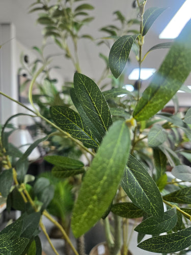 Olive Faux Tree 1.5M at Online8 Furniture Auckland NZ