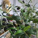 Olive Faux Tree 1.5M at Online8 Furniture Auckland NZ
